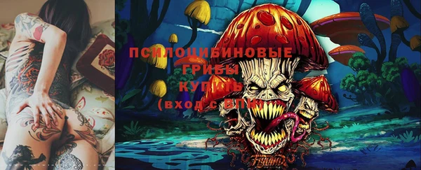 бошки Заводоуковск