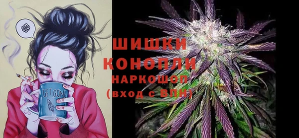 сатива Елизово