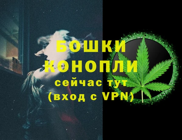 бошки Заводоуковск