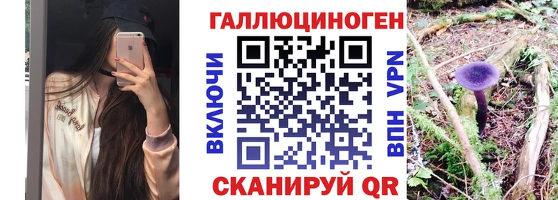 Купить закладки  Нижний Ломов  Псилоцибиновые грибы Psilocybe 